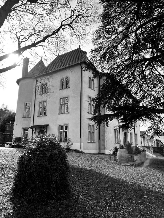 Bed And Breakfast Le Chateau De Morey Belleau Εξωτερικό φωτογραφία
